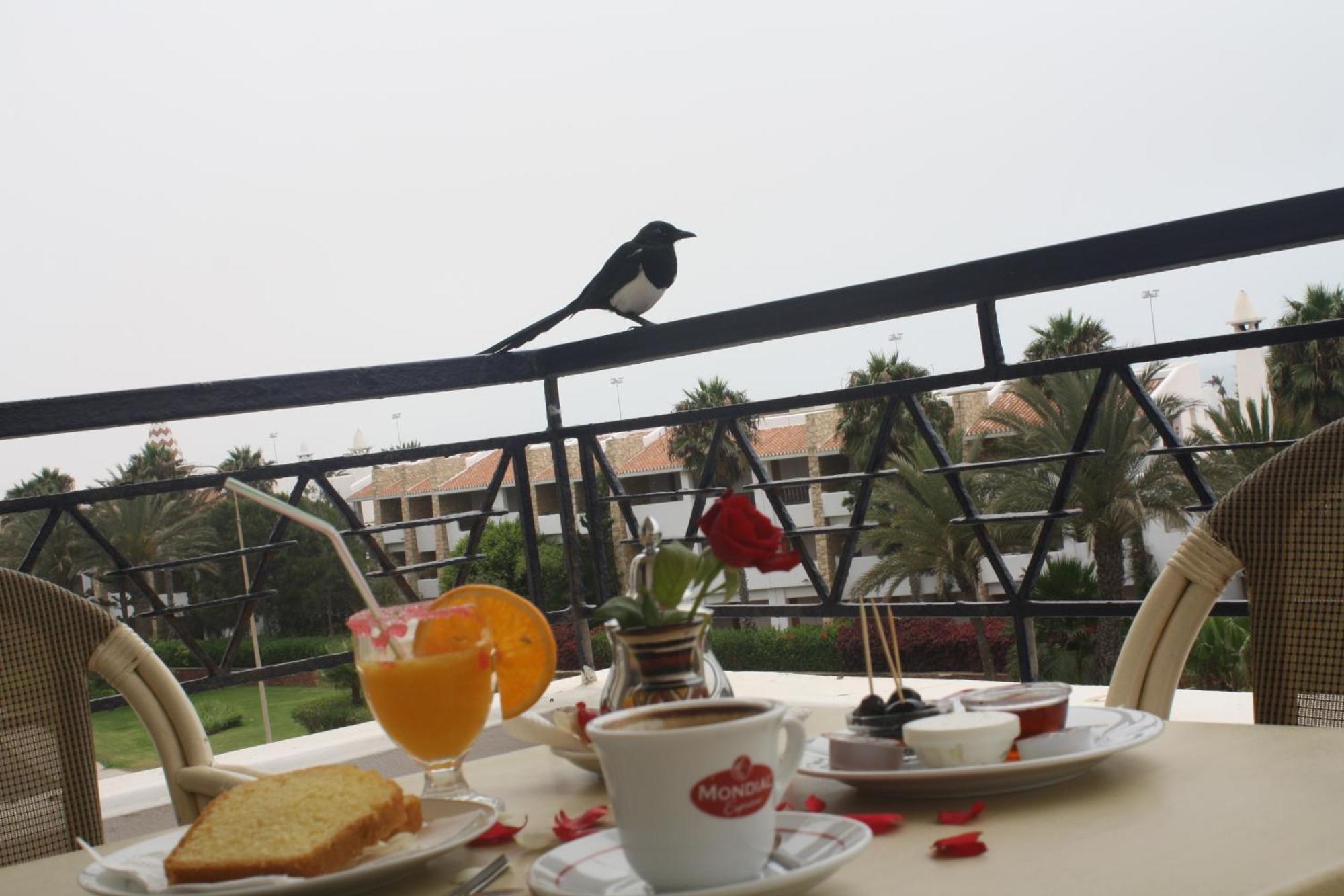 Golden Beach Appart'Hotel 아가디르 객실 사진
